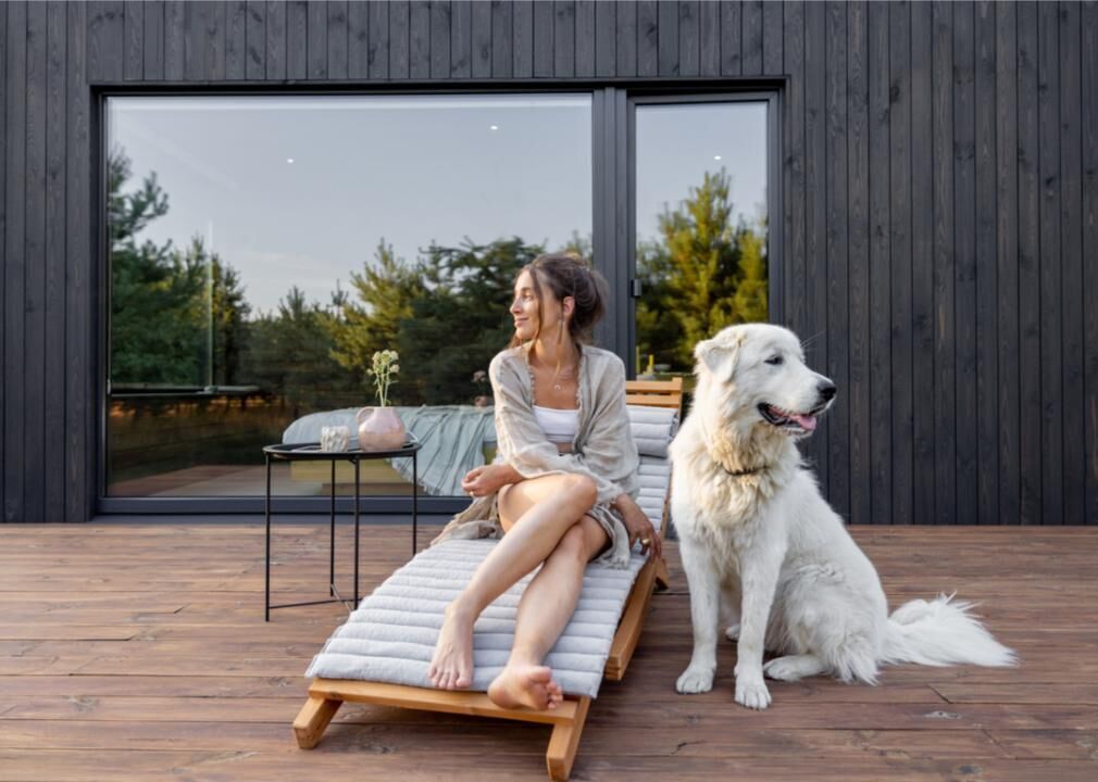 #3. Dog-friendly